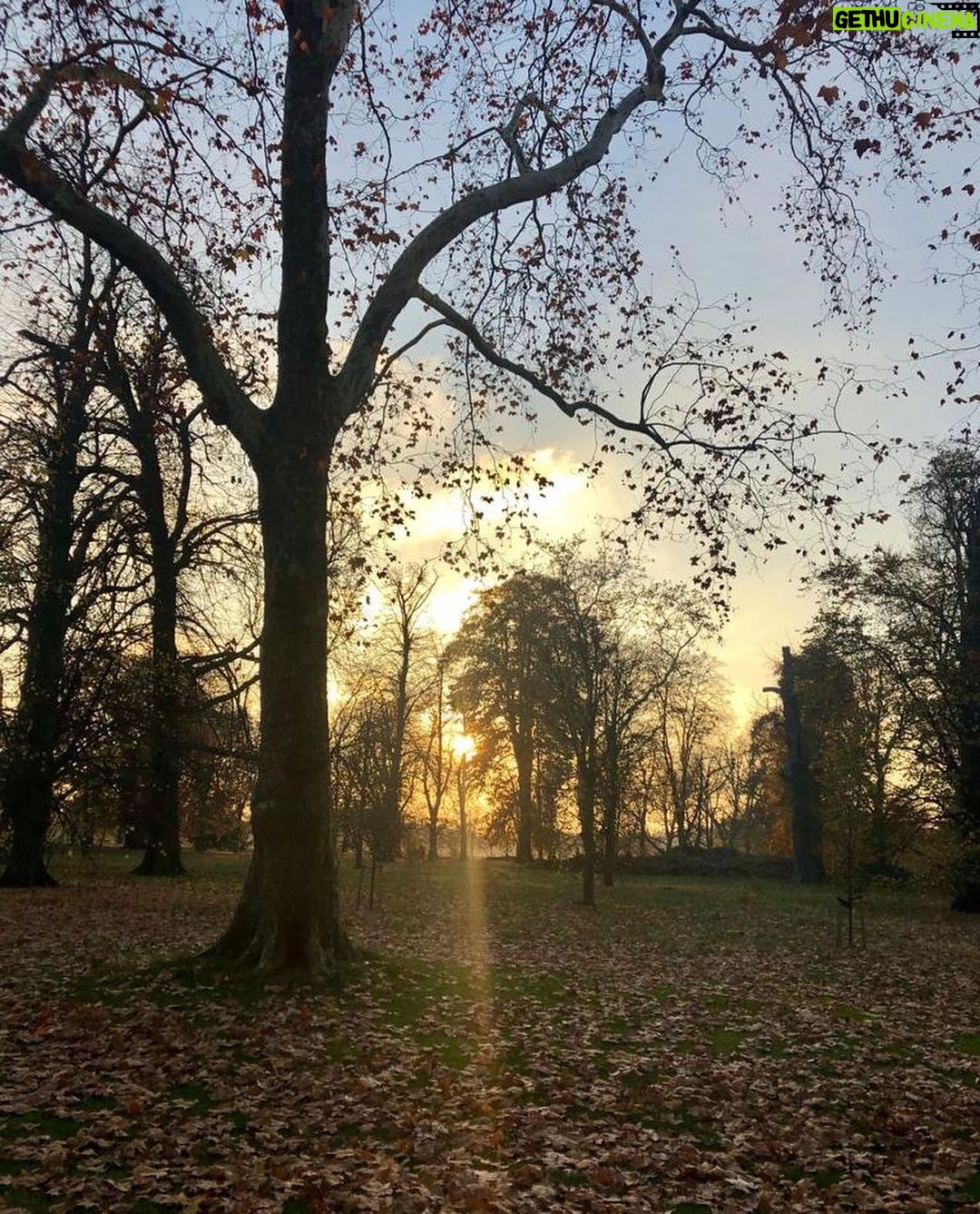 Ivanka Trump Instagram - Autumn in London 🍂🍁🍂