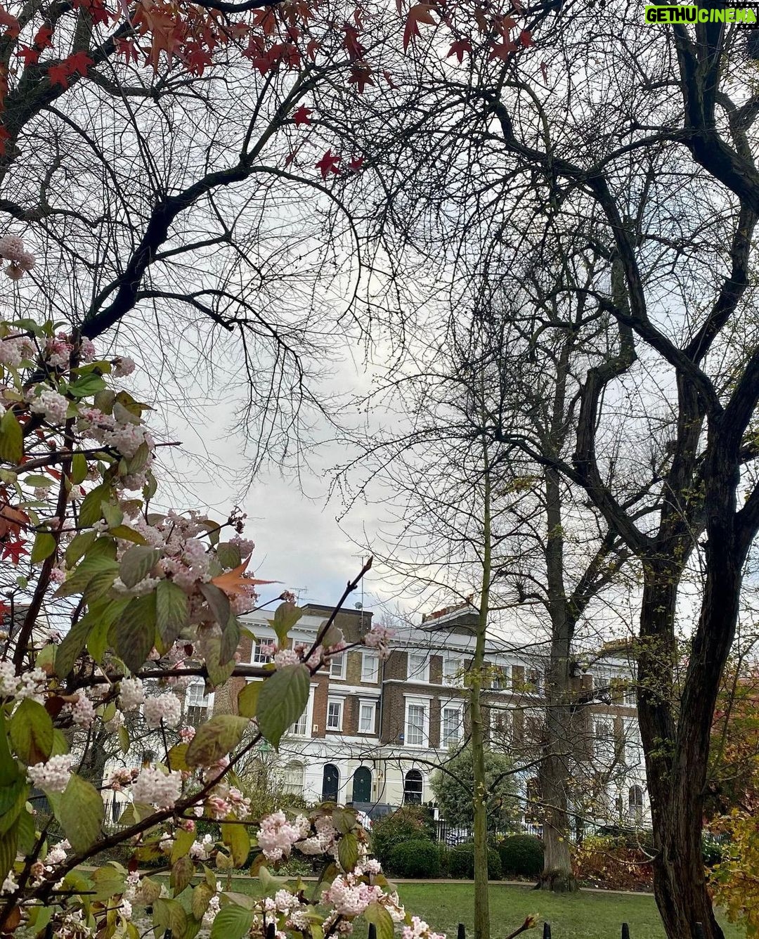 Ivanka Trump Instagram - Autumn in London 🍂🍁🍂