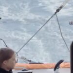 JR Bourne Instagram - @gretathunberg @hulu