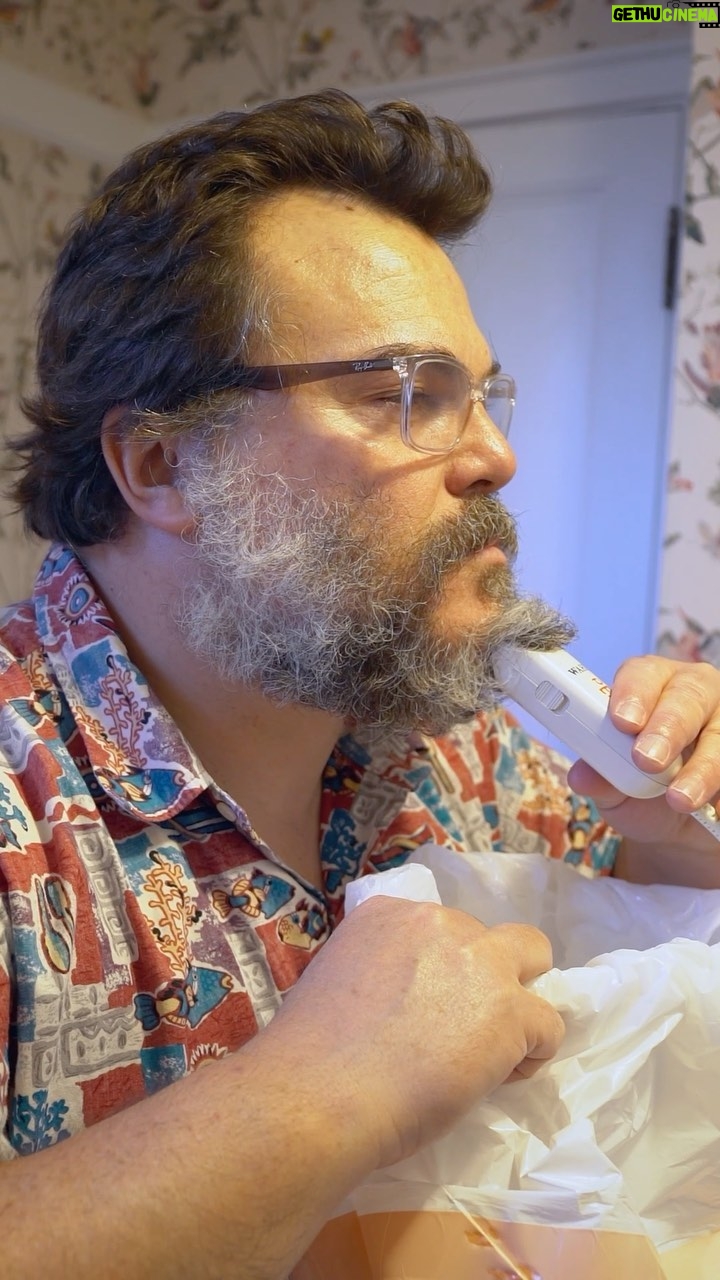 Jack Black - 505.5K Likes - 📹 @taylorstephens