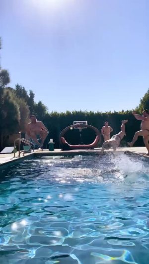 Jack Black Instagram - Infini-canno-bal-loop
📹 @taylorstephens
