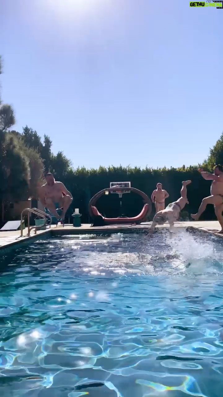 Jack Black - 467.4K Likes - Infini-canno-bal-loop
📹 @taylorstephens