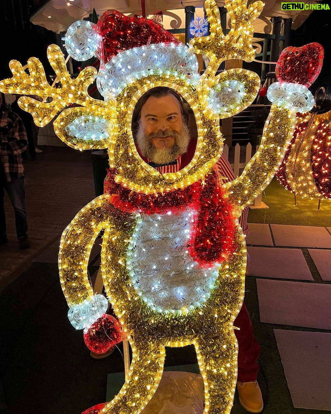 Jack Black - 503.9K Likes - 📷 @katemozz