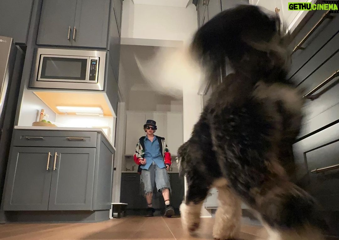 Jack Dylan Grazer Instagram - Your Eyes Glisten Familiar Colors.