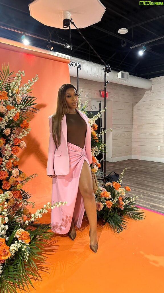 Jackie Aina Instagram - Had an amazing weekend in Atlanta speaking at the @aerie Real Fest. Real people. Real conversations. Real gorgeous looks and faces 😍 suit @lapointe bodysuit @amazonfashion heels @ysl