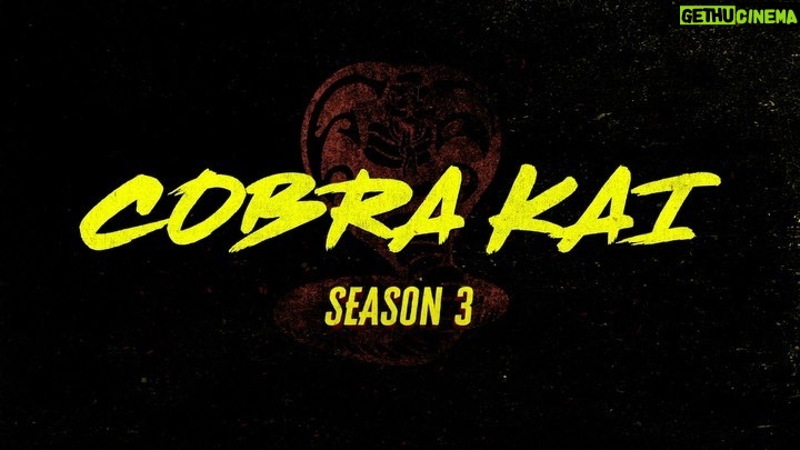 Jacob Bertrand Instagram - 2020 sucked, so I convinced netflix to drop the season 3 trailer tomo. Your welcome. #power #CobraKai