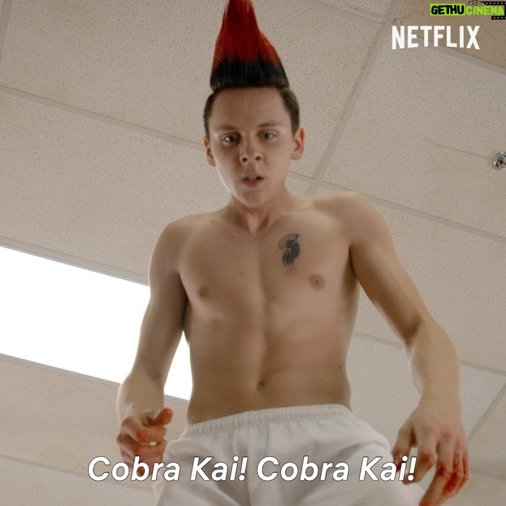 Jacob Bertrand Instagram - Cobra kai season 3 trailer. Cobra Kai Never Dies, Season 3 will drop JANUARY 8th 2021!!! Season 4 confirmed😈 @netflix @cobrakaiseries