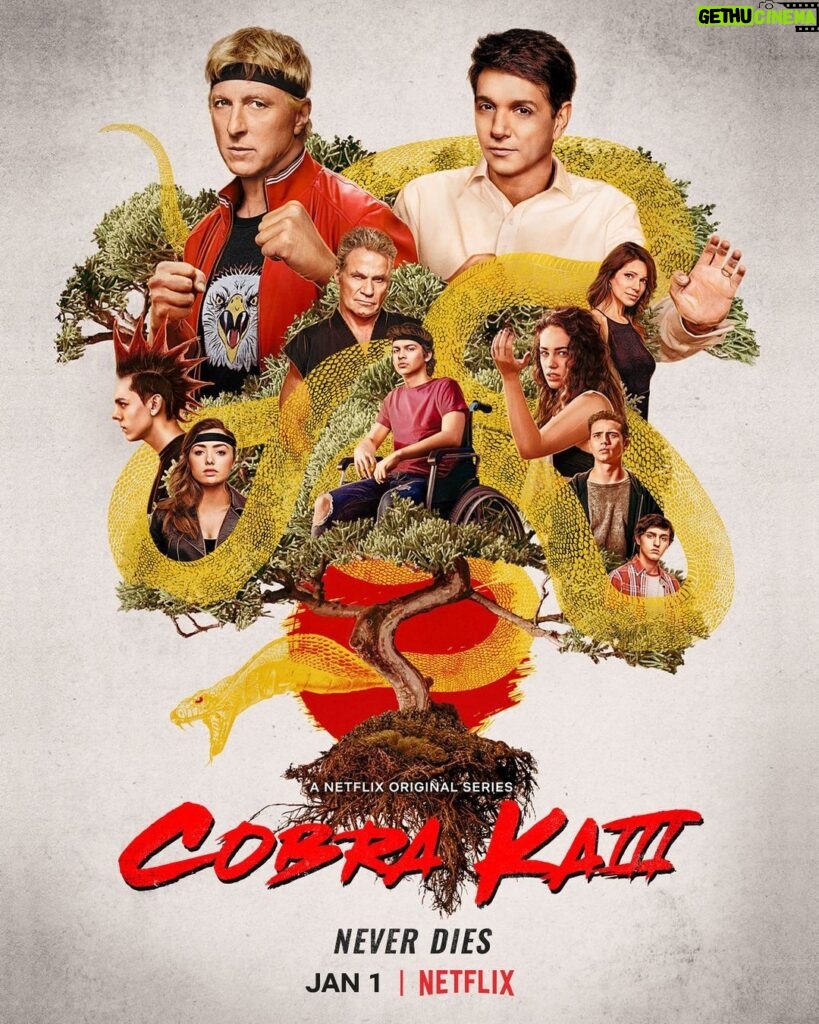 Jacob Bertrand Instagram - Had another chat with @netflix and got them to move up the Season 3 release date! JANUARY 1ST!! Youre welcome. @cobrakaiseries #CobraKai Also thank to this artist for makin my jawline look POPPIN