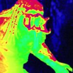 Jacob Tremblay Instagram - *WARNING* Here is the new #ThePredator red-band trailer for the adults...cover your eyes & plug your ears my fellow kids. 🙈🙉 In theaters September 14th!