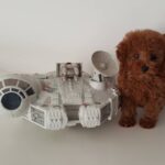 Jacob Tremblay Instagram - #Rey and her #millenniumfalcon! #Maythe4thbewithyou! Happy #StarWarsDay!!! #ReyTremblay