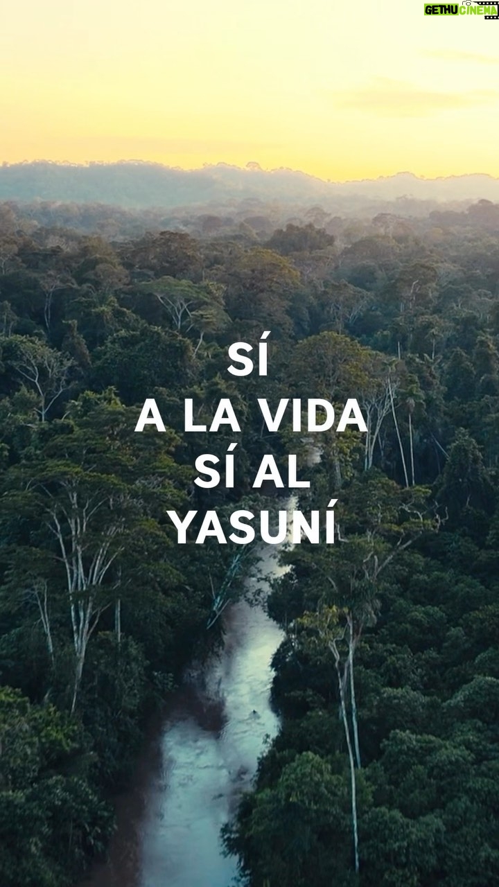Jada Pinkett Smith Instagram - Join me in saying #YesToYasuní! Yasuní National Park is the most biodiverse place on Earth. It is home to some of the last Indigenous peoples in voluntary isolation – the Tagaeri, Taromenane and Dugakaeri tribes. But Yasuní’s fate hangs in the balance as a grave threat looms – big oil. The fossil fuel industry’s intended projects would uproot precious ecosystems, causing widespread biodiversity loss and pollution. It would almost certainly cause the genocide of these Indigenous communites. But Ecuador has a historic chance to protect Yasuní’s rainforest. Together, let’s applaud the chance for Ecuadorians to vote in favor of Yasuní. Let us unite to support Yasuní and its Indigenous communities in this monumental referendum by spreading this vital message. 🌱🗳️ #YesToYasuní #SíAlYasuní #YasuníITT * Produced by @mullu.tv & @jovenes_amazonicos_ec in collaboration with the Waorani Nationality of Ecuador & Okienani Waorani Association of Orellana.