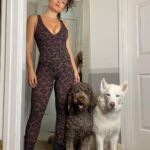 Jade Chynoweth Instagram - Just a leopard and her dogs 🐆