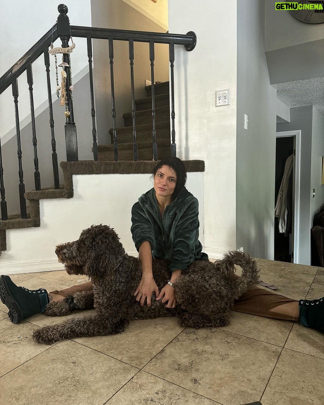 Jade Chynoweth Instagram - 3 things I love about Utah… Family Doggies Nature