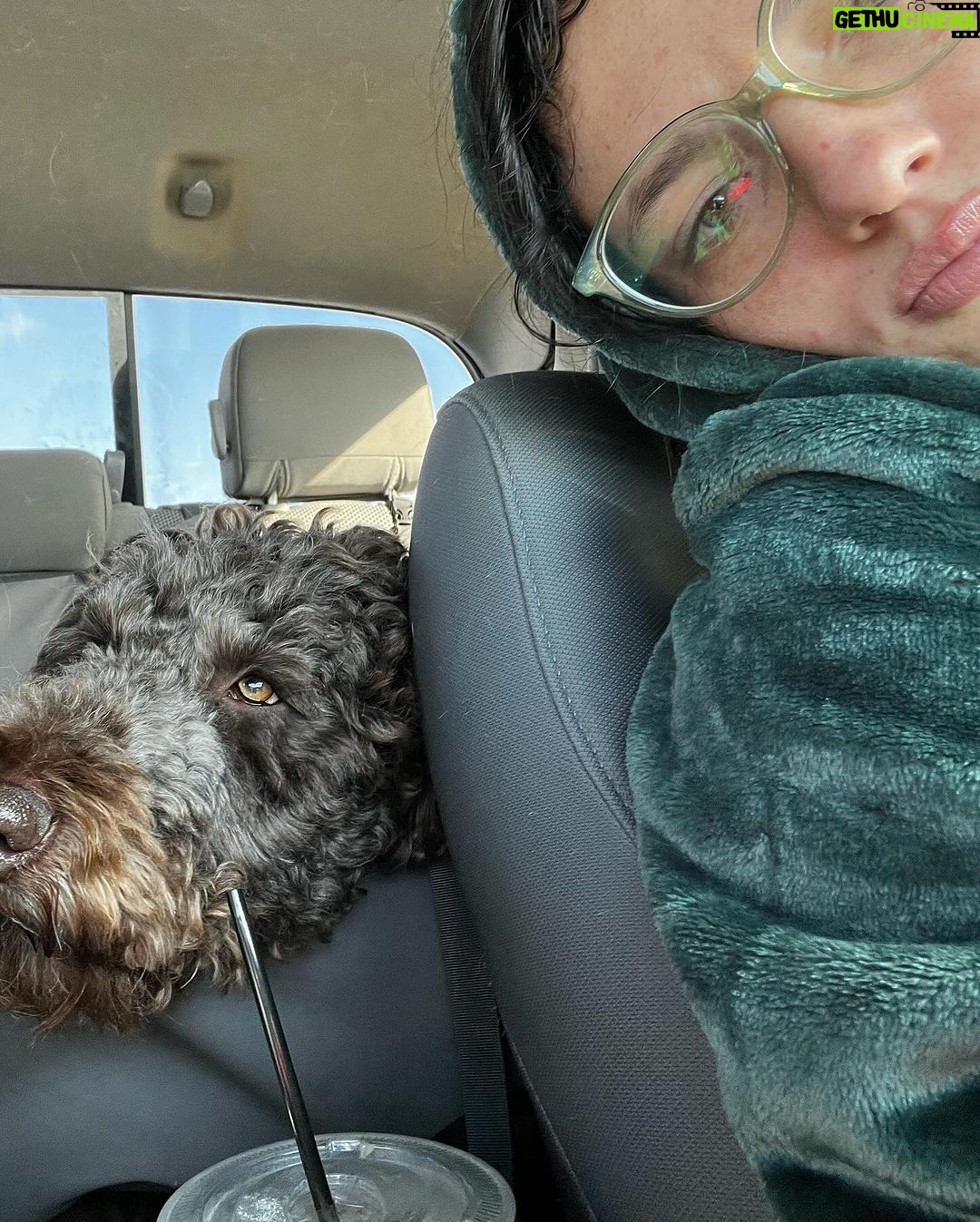 Jade Chynoweth Instagram - 3 things I love about Utah… Family Doggies Nature