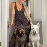 Jade Chynoweth Instagram - Just a leopard and her dogs 🐆