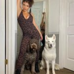 Jade Chynoweth Instagram - Just a leopard and her dogs 🐆