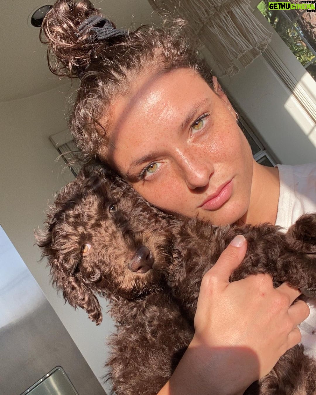 Jade Chynoweth Instagram - Happy Bday to my doggy soulmate, my guardian Angel, my Mochi-choki-latte, my baby🥺 There was no better April Fools Joke than getting my Moki…the big 3! I love you Mokiiiiii🤍🤍🤍🤍