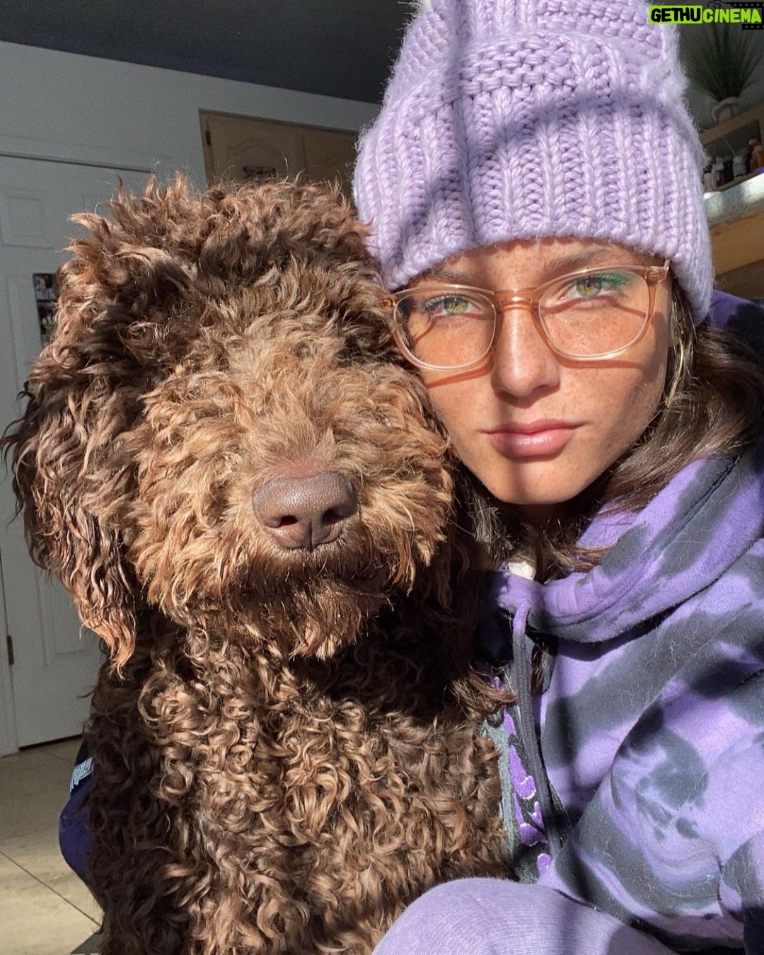 Jade Chynoweth Instagram - Happy Bday to my doggy soulmate, my guardian Angel, my Mochi-choki-latte, my baby🥺 There was no better April Fools Joke than getting my Moki…the big 3! I love you Mokiiiiii🤍🤍🤍🤍