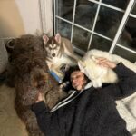 Jade Chynoweth Instagram - 1 week with my new baby brother: Kenai 🐺🐻