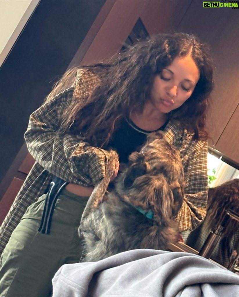 Jade Thirlwall Instagram - I’m not a regular dog mom. I’m a cool dog mom.