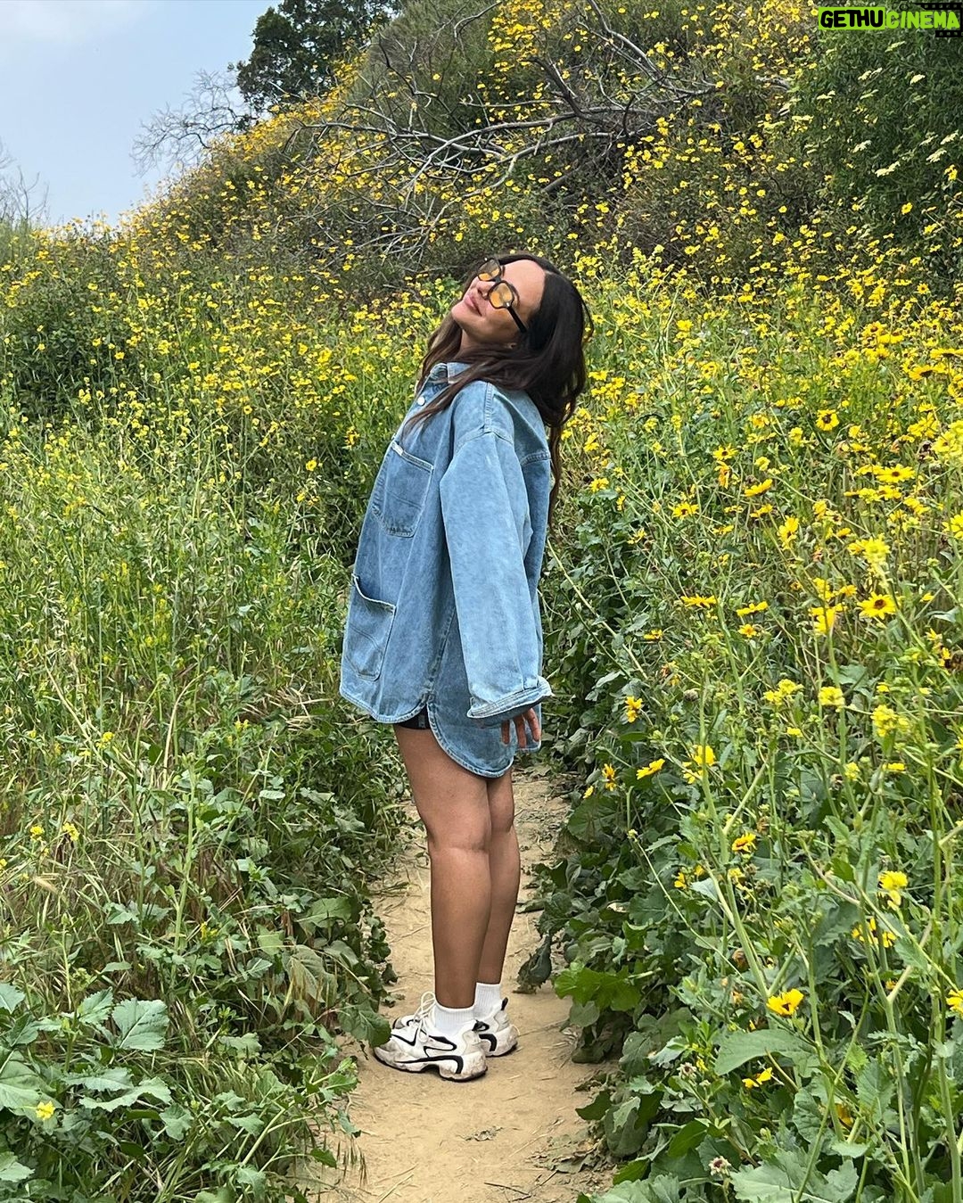 Jade Thirlwall Instagram - lovely jubbly la