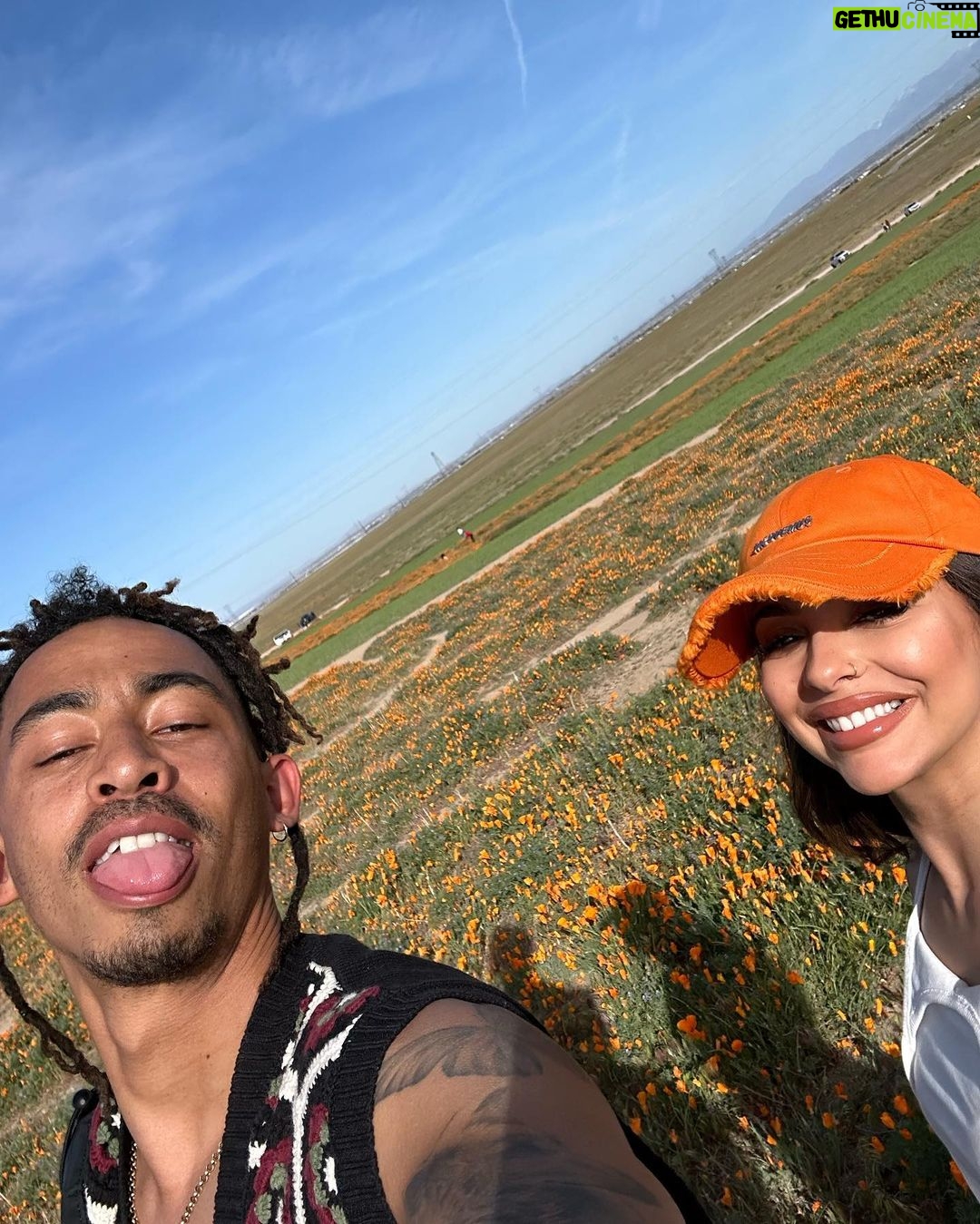 Jade Thirlwall Instagram - pop girl in a poppy world