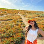 Jade Thirlwall Instagram - pop girl in a poppy world