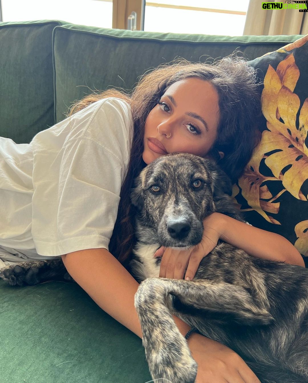 Jade Thirlwall Instagram - I’m not a regular dog mom. I’m a cool dog mom.