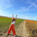 Jade Thirlwall Instagram - pop girl in a poppy world