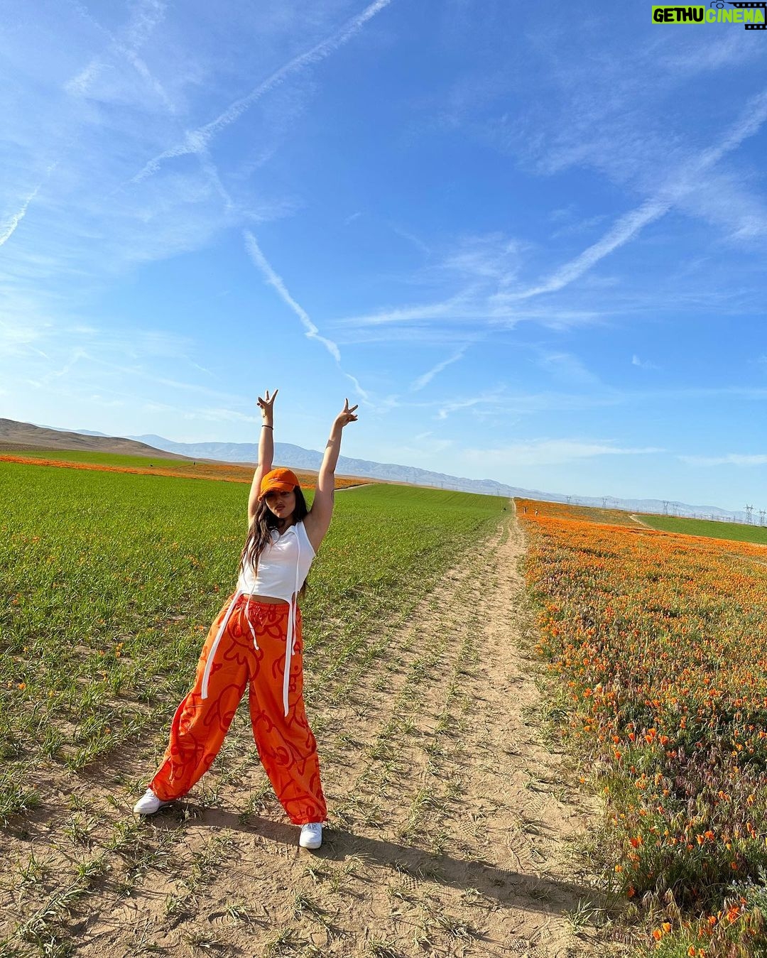 Jade Thirlwall Instagram - pop girl in a poppy world