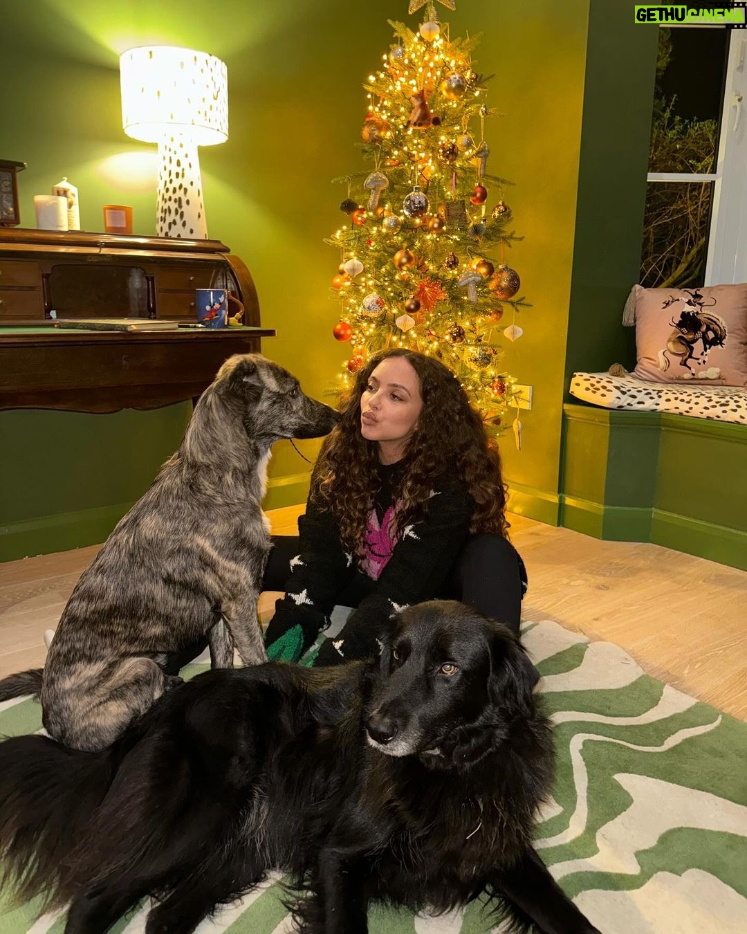 Jade Thirlwall Instagram - just more dogs and love and little Jade