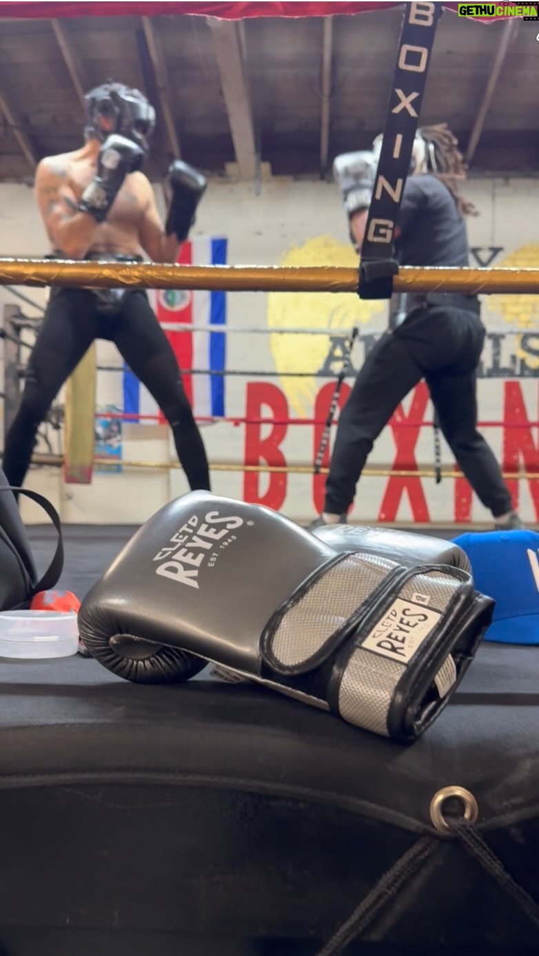 Jaime Camil Instagram - Después de un tiempo regresé a hacer sparring. Gracias a mi hermano, el one-and-only #costaricanwarrior @cityofangelsbox por no noquearme al primer golpe 🙇🏽♂️🥊🥴 Gracias a @cletoreyesboxing @cletoreyesmexico #cletoreyes #cletoreyesboxing por el equipo para entrenar 💪🏽🤩 y gracias a @antagonicfilms por transformar el video y hacerme ver como si estuviera en una escena de Creed #jijoesu 😳🤣💪🏽👊🏽💥