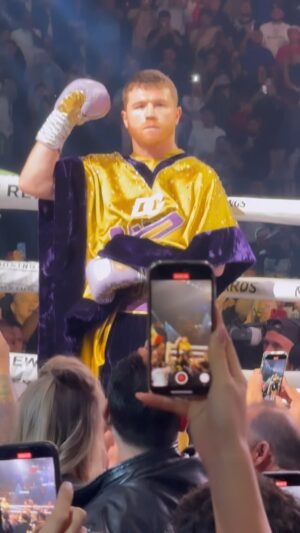Jaime Camil Instagram - THE CHAMP IS HERE 💪🏽🥊🤩 #thechampishere #undisputed #andstill #campeon #elcampeonestaenlacasa #canelo #canelocharlo @canelo @caneloteam