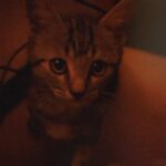 Jakapan Puttha Instagram - 🥺🥺🥺🥺🥺🥺🥺🥺🥺🥺🥺🥺🥺🥺🥺🥺🥺🥺🥺🥺🥺🥺🥺🥺🥺🥺🥺🥺