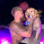 Jake Paul Instagram - El Gallo 🐓😤 Puerto Rico