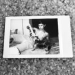 Jake T. Austin Instagram – Happy #nationaldogday 🐶 Los Angeles, California