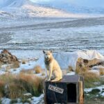 James Gunn Instagram – Friends are everywhere. Svalbard,Norway