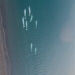 James Gunn Instagram – Beautiful beluga whales from a helicopter in #Svalbard, Norway. Thanks to the wonderful people of Svalbard for their kindness and help filming there this week! I’m grateful for this stunning location and its wonderful people. 🙏 #FortressofGratitude