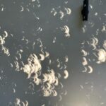 James Gunn Instagram - Solar eclipse shadows in my backyard right now. #solareclipse