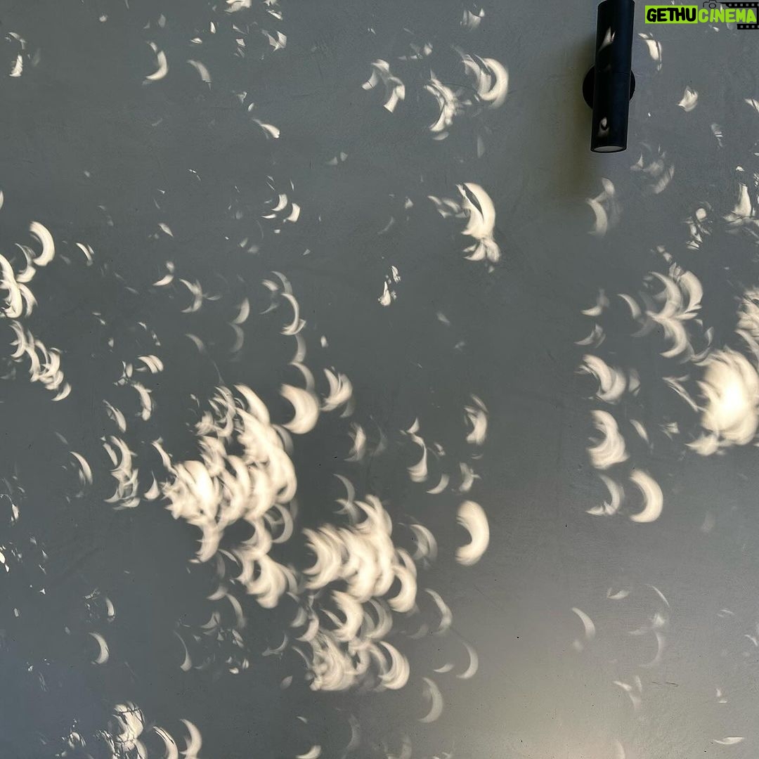 James Gunn Instagram - Solar eclipse shadows in my backyard right now. #solareclipse