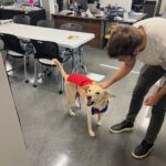 James Gunn Instagram - Art department dog Nora got dressed up for the office today.