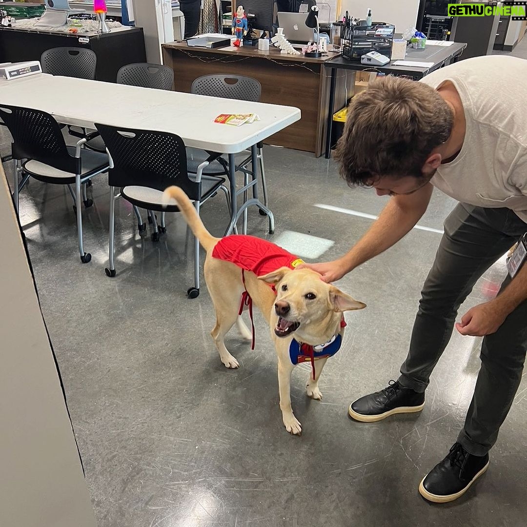 James Gunn Instagram - Art department dog Nora got dressed up for the office today.