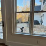 James Gunn Instagram – Think he’s ready to come in.
#ozuthedog