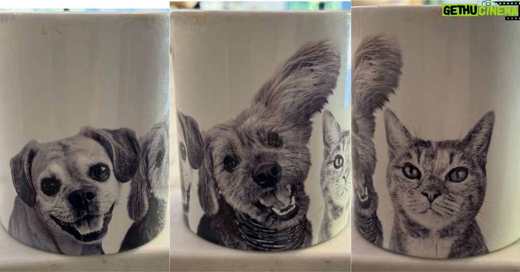 James Gunn Instagram - My favorite coffee mug.