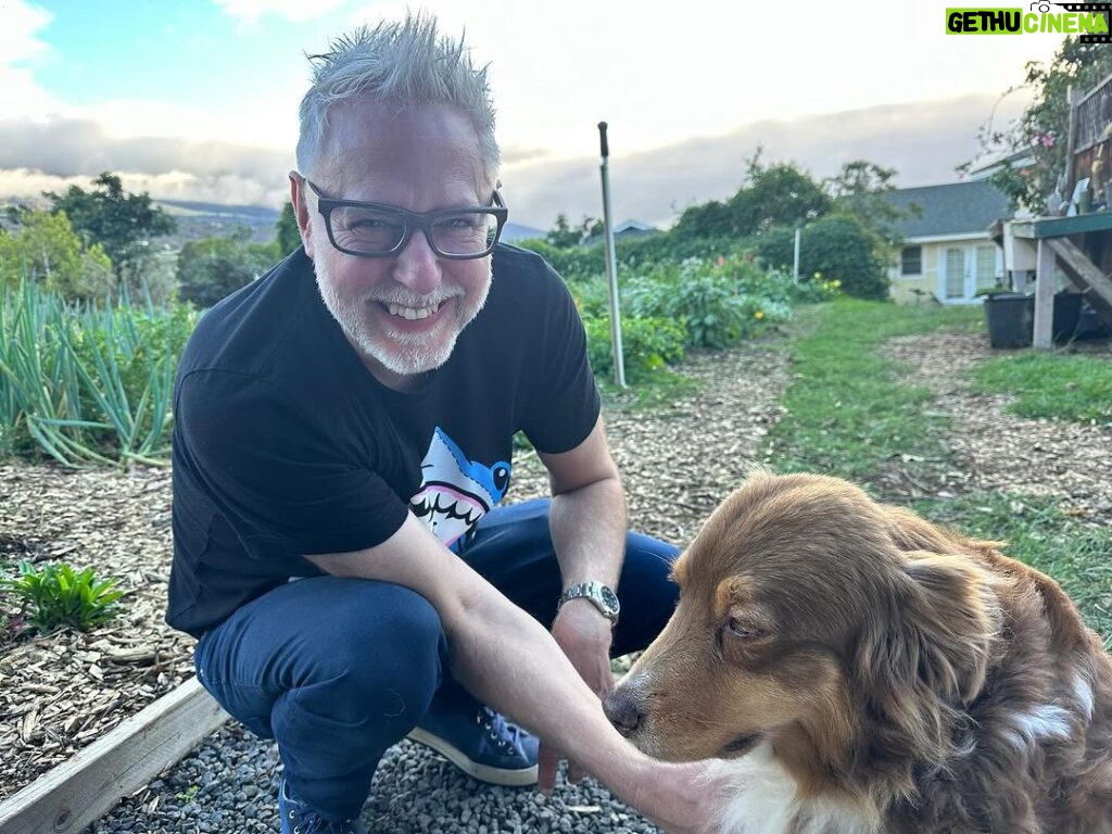 James Gunn Instagram - One of the best days of the year came at the very end for me. A wonderful evening of healthy farm-to-table food at the incredible @mauibeeshoney in Maui. And I made a new close friend, Winnifred, farm dog extraordinaire who hung out with us for the night. If you are in Maui I highly, highly recommend.