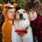 James Marsden Instagram - He was love. He was healing He was the center of our little universe and our best friend. Rest In Peace, our sweet Buddy, and we will meet again. ❤️