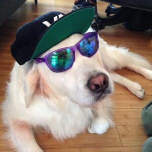 James Marsden Instagram - He was love. 
He was healing
He was the center of our little universe
and our best friend.

Rest In Peace, our sweet Buddy, 
and we will meet again. 
❤️