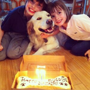 James Marsden Instagram - He was love. 
He was healing
He was the center of our little universe
and our best friend.

Rest In Peace, our sweet Buddy, 
and we will meet again. 
❤️