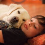 James Marsden Instagram - He was love. He was healing He was the center of our little universe and our best friend. Rest In Peace, our sweet Buddy, and we will meet again. ❤️