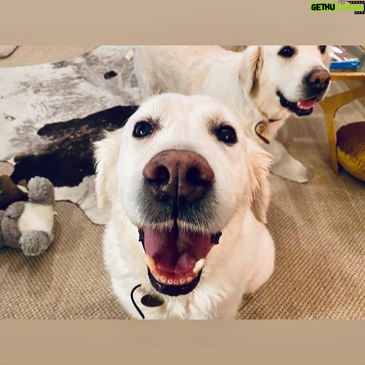 James Marsden Instagram - Happy 11th Birthday to this handsome devil. I love you boy. ❤️
